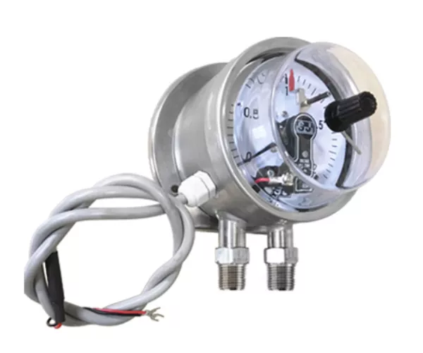 Differential Pressure Gauge, Bellow Tube