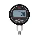 Digital Pressure Gauge, Data logger