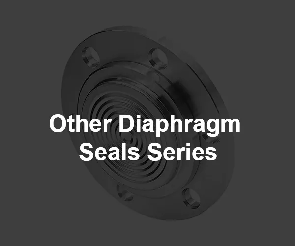 Other Diaphragm Seals Series