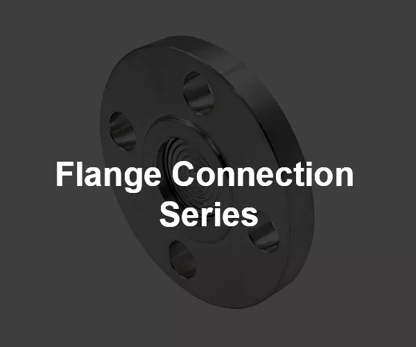 Flange Connection Series